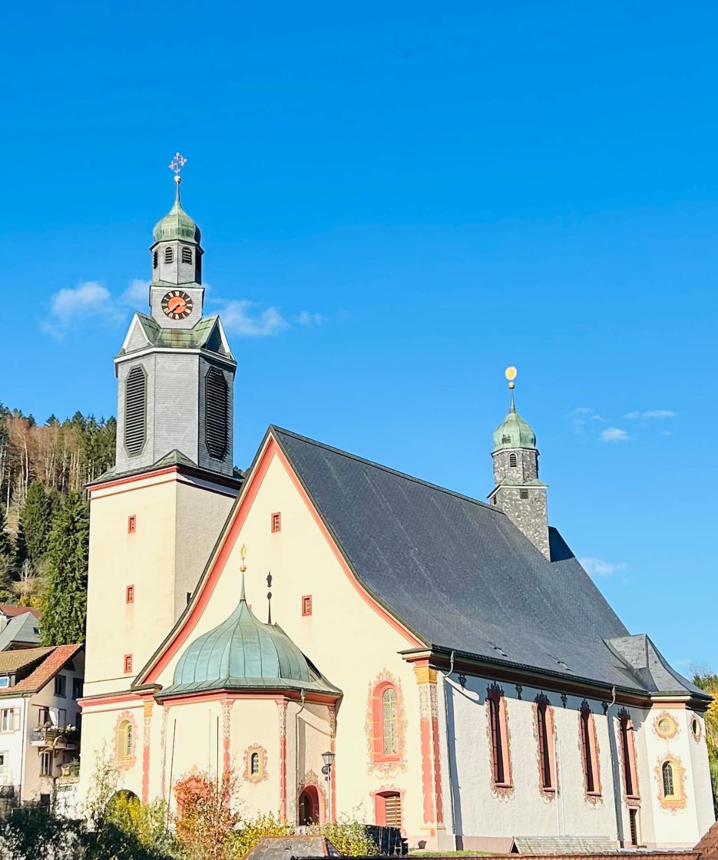 Ferienwohnung Panoramablick - Super Fuer Deine Familie Und Die Besten Aussicht In Ganz Todtmoos Esterno foto