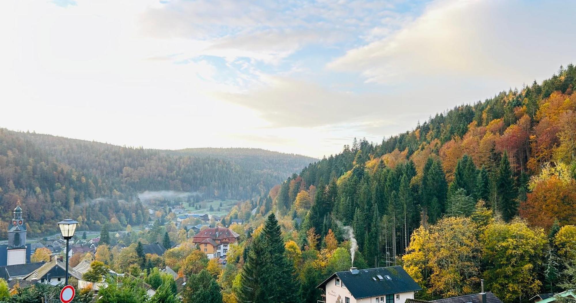Ferienwohnung Panoramablick - Super Fuer Deine Familie Und Die Besten Aussicht In Ganz Todtmoos Esterno foto