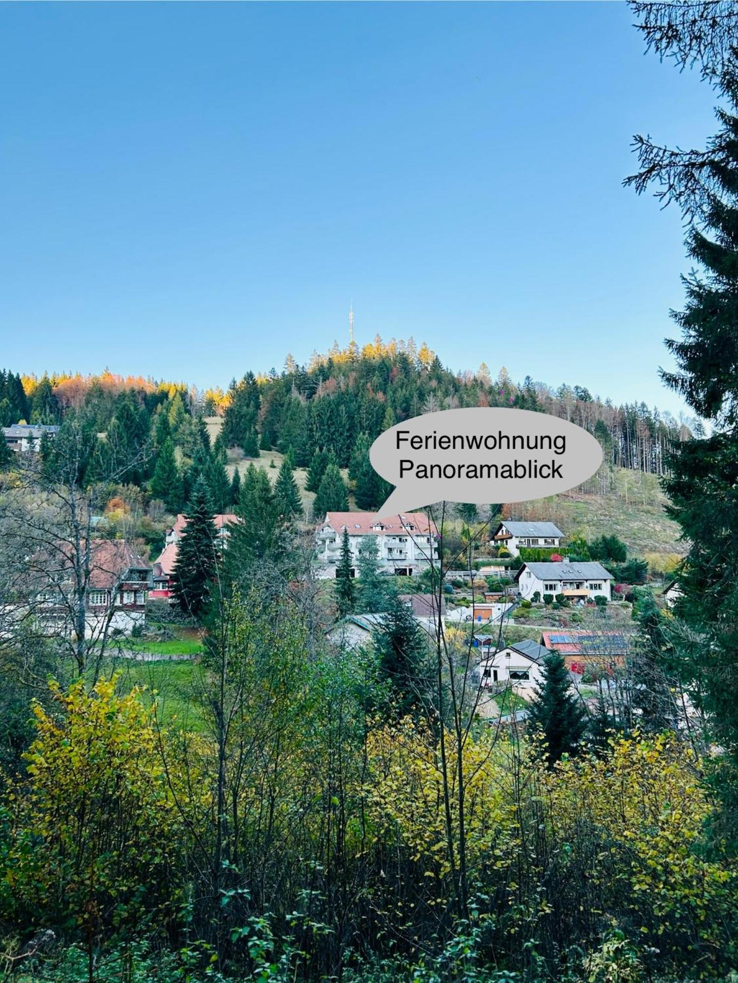 Ferienwohnung Panoramablick - Super Fuer Deine Familie Und Die Besten Aussicht In Ganz Todtmoos Esterno foto