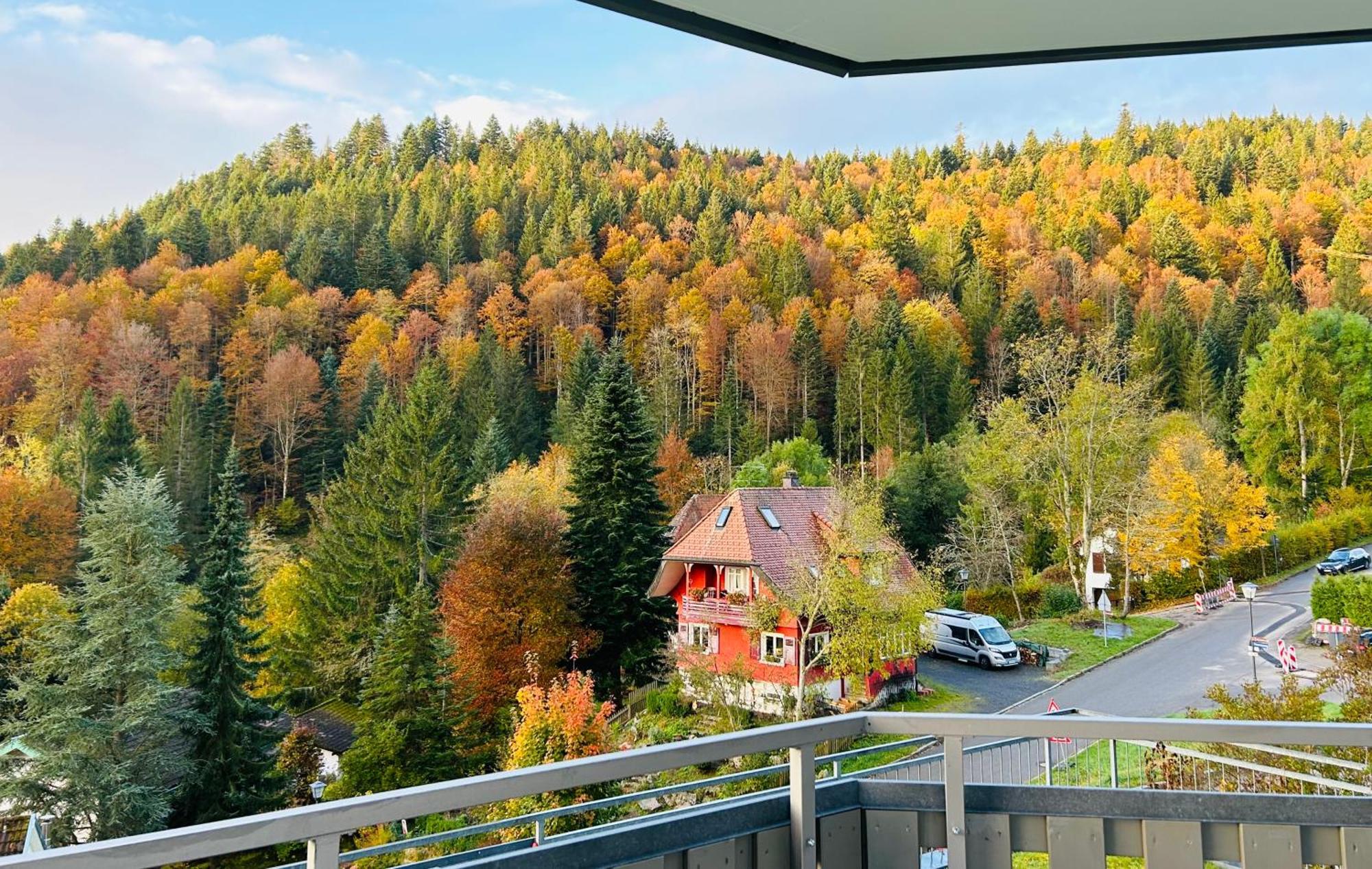 Ferienwohnung Panoramablick - Super Fuer Deine Familie Und Die Besten Aussicht In Ganz Todtmoos Esterno foto