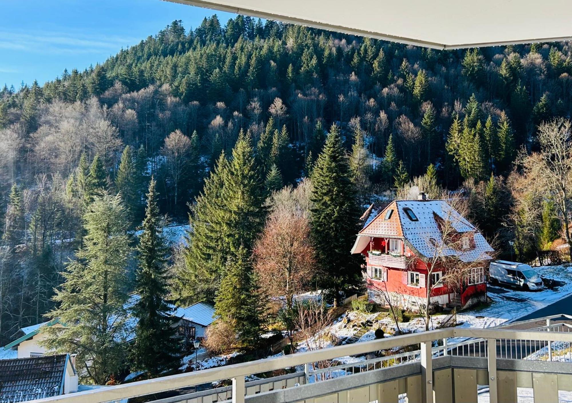Ferienwohnung Panoramablick - Super Fuer Deine Familie Und Die Besten Aussicht In Ganz Todtmoos Esterno foto